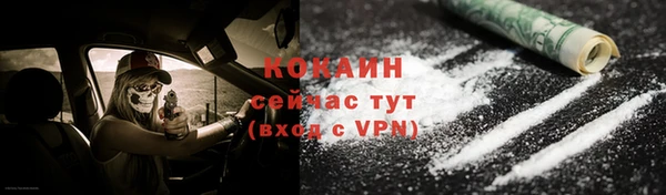 альфа пвп Гусев