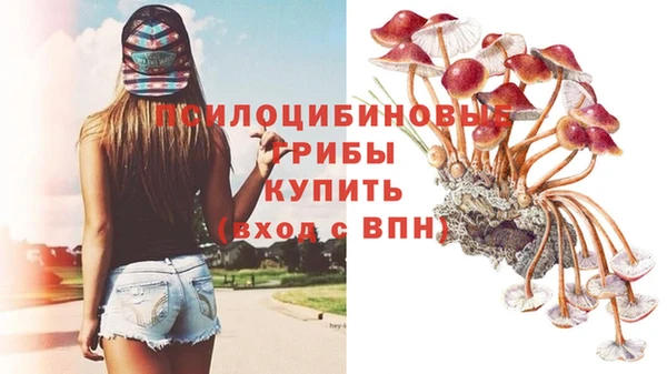 MDMA Гусь-Хрустальный