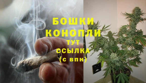 альфа пвп Гусев