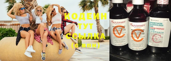 альфа пвп Гусев