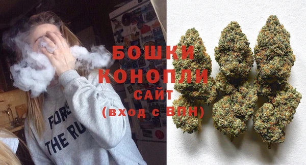 первитин Гусиноозёрск
