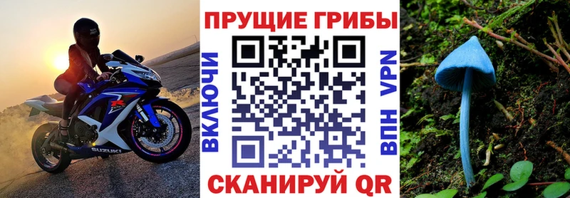 что такое наркотик  блэк спрут как войти  Галлюциногенные грибы прущие грибы  Пудож 